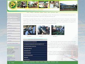 University and College Scholarships