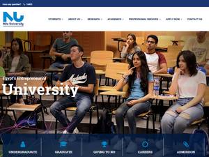 Abou Elenien foundation grant at Nile University in Egypt, 2019 for Bachelor, Grant