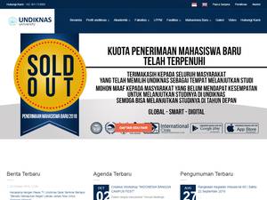 Scholarships Programme at Undiknas University, Indonesia for Course