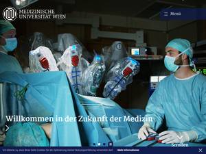 Clinical & Research International Fellowship at Medical University of Vienna, 2020 for Master