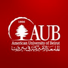 American University of Beirut Scholarships