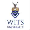 University of the Witwatersrand Scholarships