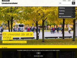 Linnaeus University Scholarships for Students from Outside EU/EEA and Switzerland, 2017 for Course