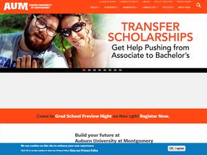 International Graduate AUM Scholarships in USA for Diploma