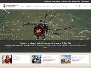 Presidential Scholarships at San Diego State University, USA for Bachelor