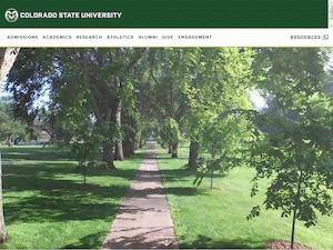 Honors funding for International Students at Colorado State University, US for Bachelor