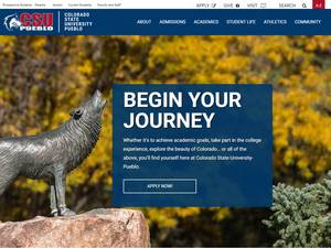 Colorado State University International Excellence Scholarship, USA for Bachelor