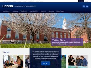 international awards for Business Students at the University of Connecticut in United States for Fellowship