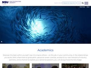 NSU international awards in the United States for Bachelor