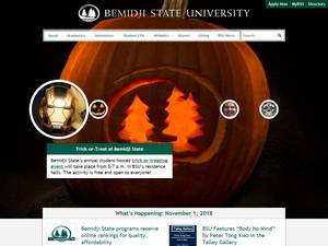 Bemidji State University International Student Scholarships in USA for Bachelor
