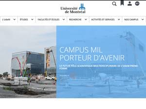 University of Montreal International Research Scholarships in Doubly-decorated Nanovectors, Canada for Fellowship, Grant