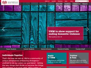 200 University of New Mexico International Scholars Program in USA for Fellowship