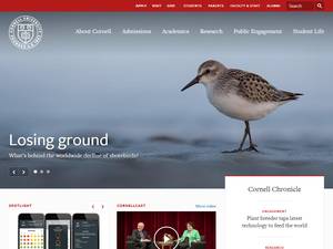 University and College Scholarships